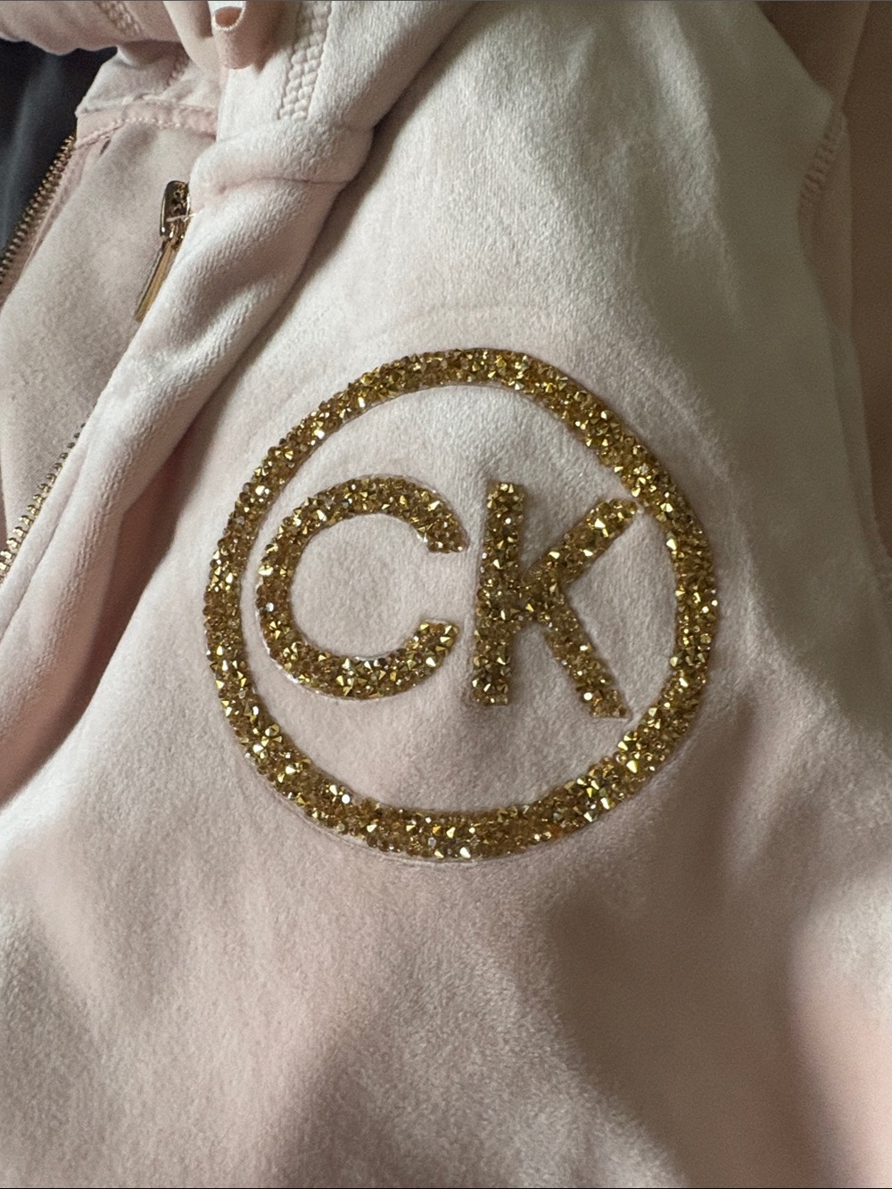 Calvin Klein Pale Pink Velour Hoodie and Jogger Set with Gold CK Logo - Picture 3 of 7